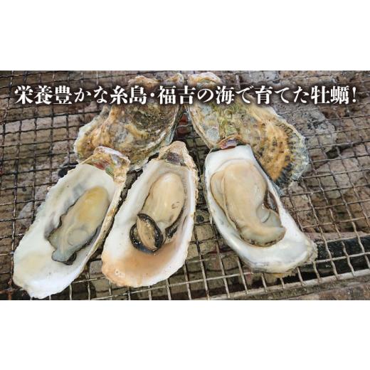 ふるさと納税 福岡県 糸島市 福吉 の 牡蠣 殻付き 生食用 3kg (簡易 ナイフ 付き) 福岡県 糸島産 糸島 ／ かきの阿部 飛龍丸 [AZB002] 牡蠣 生カキ