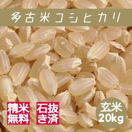 新米 米 お米 玄米 20kg 多古米 コシヒカリ 令和5年産 本州四国 送料無料 紙袋 綺麗仕上 異物除去 石抜き済