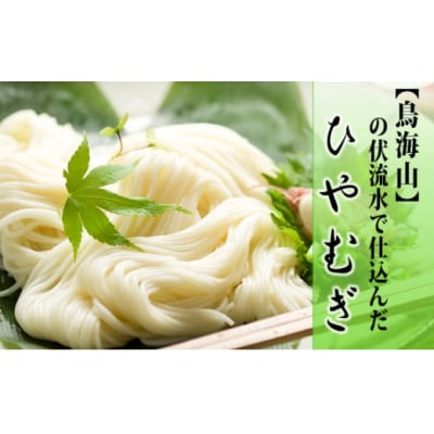 名水使用 冷麦 20人前(220g×10束 ひやむぎ)[No.5685-2131]