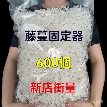 臺灣💫黃瓜西紅柿豆角爬藤枝條固定器綠植蔬菜捆綁紮帶藤蔓專用園林工具 植物固定夾 植物夾 園藝夾 藤蔓夾 果蔬卡扣 C