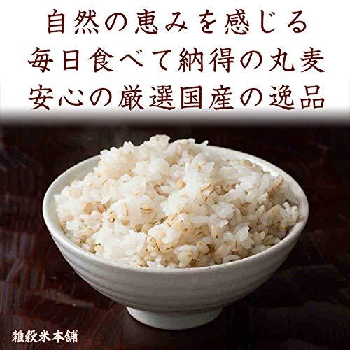 雑穀米本舗 丸麦 30kg(500g×60袋)