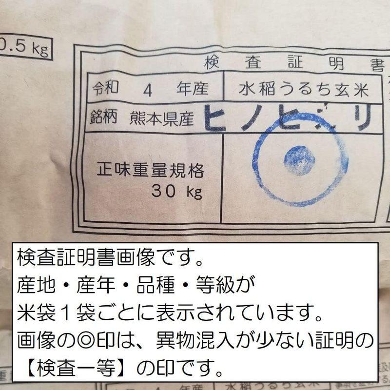 令和4年 熊本県 球磨地方産 玄米 ひのひかり 5kg×2袋(10kg)