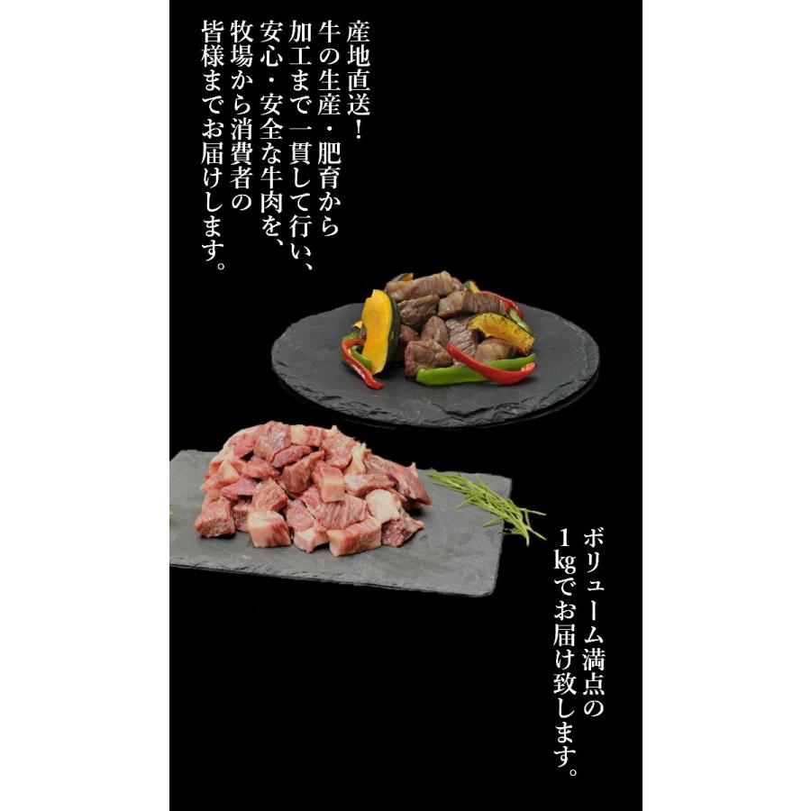 九州産 黒毛和牛 サイコロステーキ（モモ・バラ）１０００ｇ 送料無料(北海道・沖縄除く） ギフト 和牛 国産 父の日 牛 ステーキ 焼肉