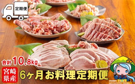 6ヶ月 定期便 豚 鶏肉 小分け お料理 セット 計10.8kg 肉 毎月 お届け 冷凍 宮崎県産 国産 若鶏 鳥 切落し ロース 生姜焼き 豚肉 とんかつ 豚肉 ひき肉 ミンチ 鶏肉 もも カット バラ スライス 豚肉 薄切り カレー シチュー 豚肉 角切り チューリップ 鶏肉 手羽元 豚肉 トンカツ 予約 送料無料