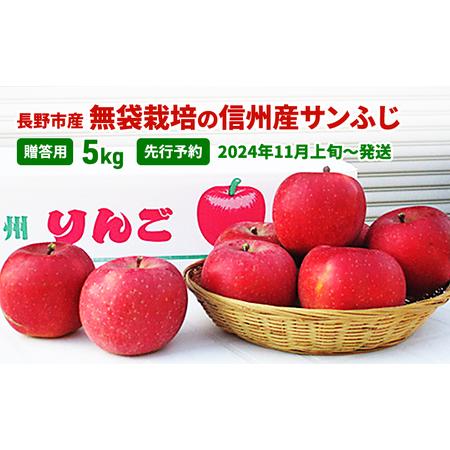 ふるさと納税 先行予約 長野市産無袋栽培の信州産サンふじ5kg（贈答用）2024年発送 長野県長野市