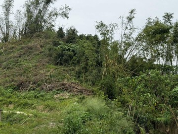 超值8.2分仁武觀音湖段農地｜高雄市仁武區觀音湖段