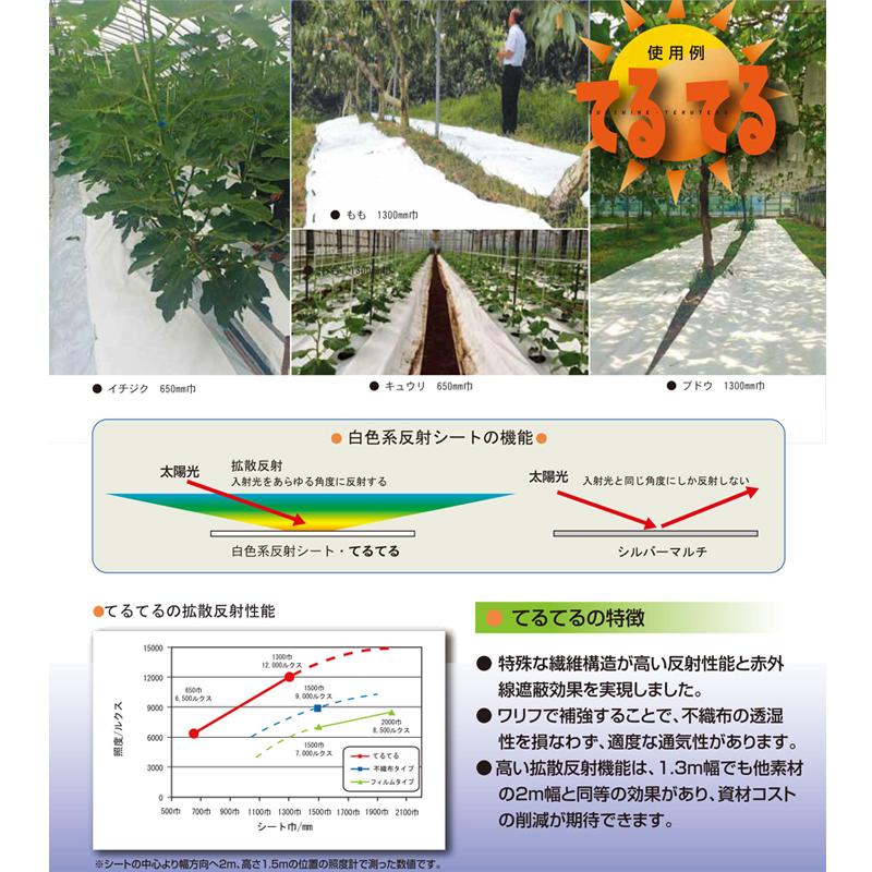 4本 1300mm × 50m 白 てるてる 遮光ネット 寒冷紗 JX ANCI サT 代引不可