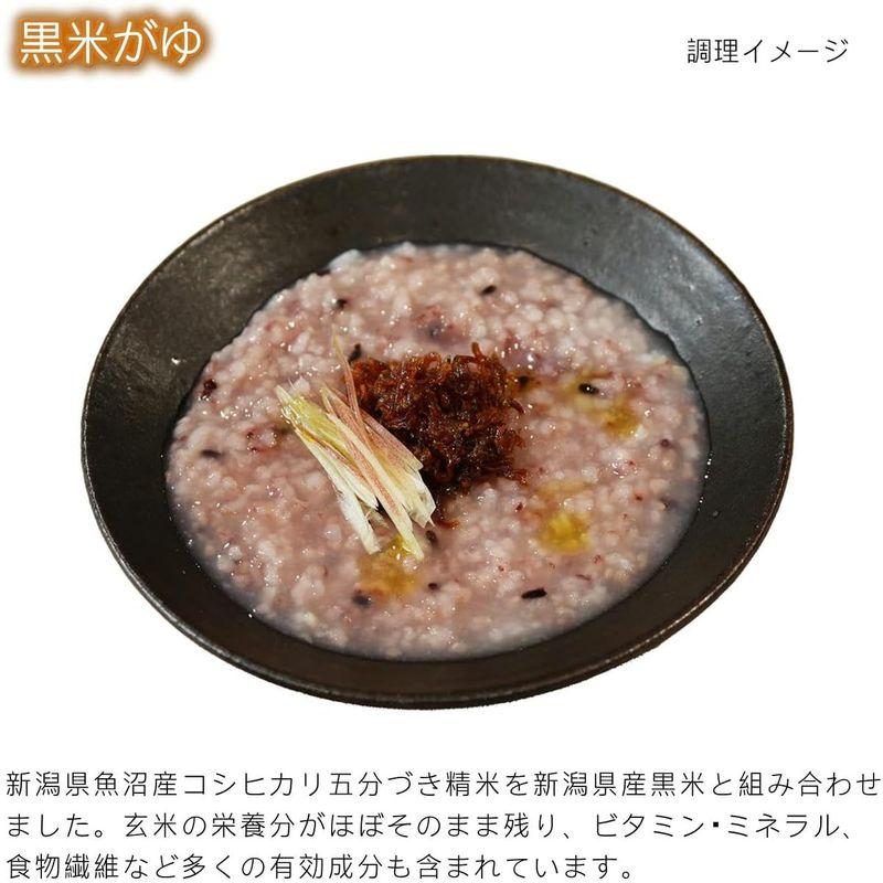 ヒカリ食品 おかゆ 黒米がゆ 250g×24個入 レトルト粥 新潟県産コシヒカリ100％