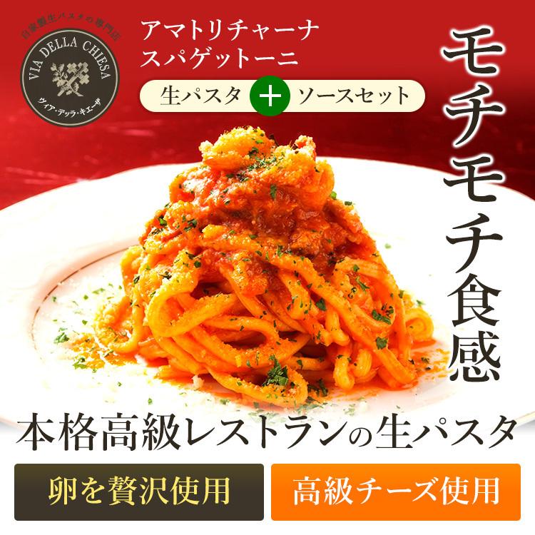 スパゲッティ スパゲティ パスタ イタリアン 料理 レトルト 玉葱 豚肉 トマトソース プレゼント ギフト 女性 オシャレ 男性 誕生日 時短 スパゲッティーニ