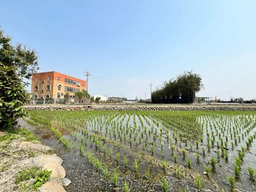 大安方正甲種建築地✨｜台中市大安區南安段