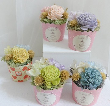 快速出貨盆花桌花交換禮物|開幕店面居家佈置離職退休七夕情人節