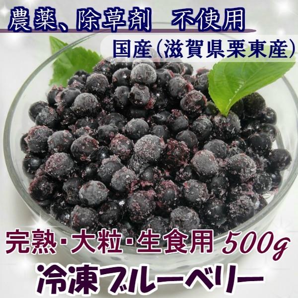 2023年　生食用冷凍ブルーベリー 500g×3　無農薬栽培 国産ブルーベリー ラビット・アイ　生食用　クール便 冷凍