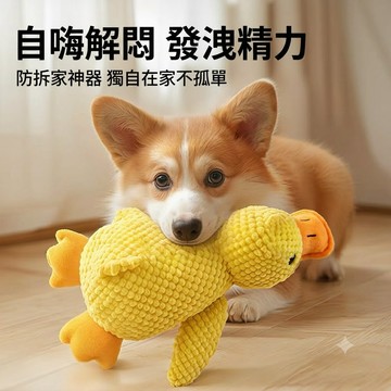 【台灣現貨】寵物發聲玩具 防真玩具 隱藏式 發聲玩具 狗狗玩具 磨牙玩具 潔牙玩具 狗狗磨牙玩具