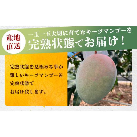 ふるさと納税 沖縄県 石垣市 《2024年6月下旬〜7月下旬発送》最高糖度23度！？ 完熟！7Lサイズ お得な幻のキーツマンゴー【沖縄 石垣島 石垣 八重山…