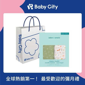 【aden+anais】經典多功能包巾2入/彩墨田野 ✨送禮首選✨新生禮✨彌月禮✨育兒好物