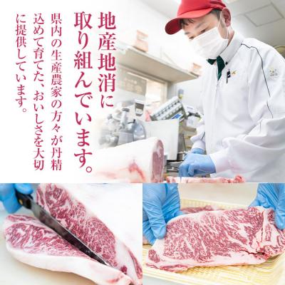 ふるさと納税 佐伯市  おおいた 豊後牛 サーロイン ステーキ (計400g・200g×2枚)