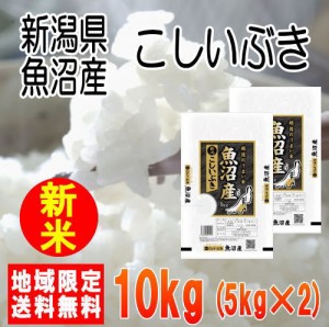 令和5年産新潟県魚沼産こしいぶき10kg（5kg×2）※北海道・九州・沖縄は別途送料かかります。米　10キロ　送料無料