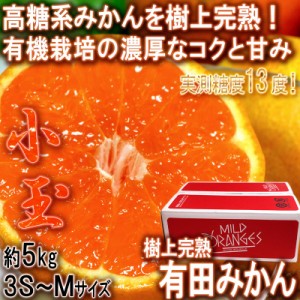 樹熟有田みかん 約5kg 3S～Mサイズ 小玉限定 和歌山県産 葵クラブ生産 新品種の高糖系みかんを選抜！蜜柑大産地、有田の味をお届け