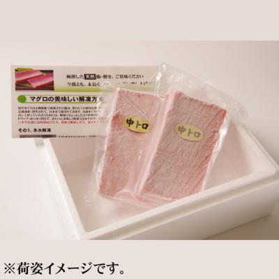 ふるさと納税 室戸市 本マグロ　赤身2柵　(計400g)