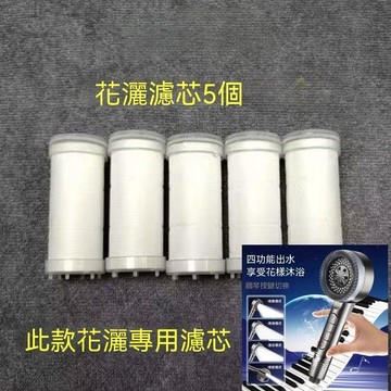 親測好用✨蓮蓬頭濾芯 替換裝 無電過濾器 過濾棒 濾水棒 濾水器 花灑專用 四檔按鍵增壓過濾花灑噴頭二合一淨水美膚高壓花