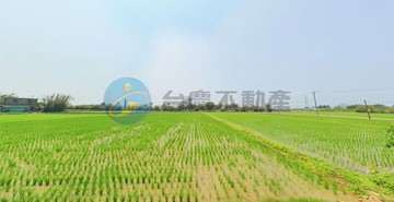 新屋東興路便宜農地｜桃園市新屋區下田心子