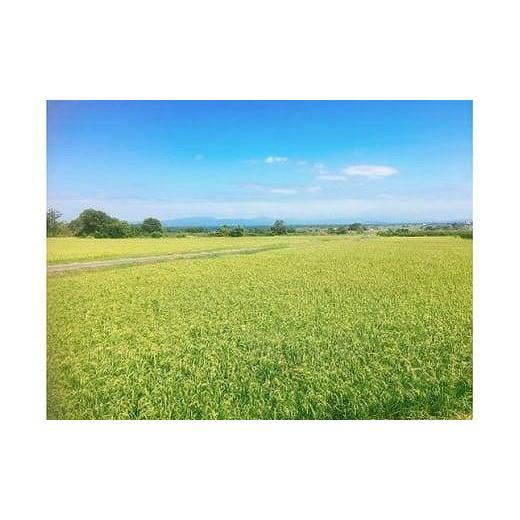 ふるさと納税 滋賀県 高島市 ◆実生庵の近江米精米5kg×1袋 滋賀県高島市産 生産者直売100%