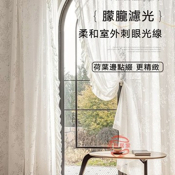 窗簾 窗簾紗 紗簾 透光窗簾 剪花紗簾 夢幻法式文藝窗簾 客廳臥室落地窗紗簾 隔斷簾 薄紗窗簾 透光窗紗 透光不透人窗簾