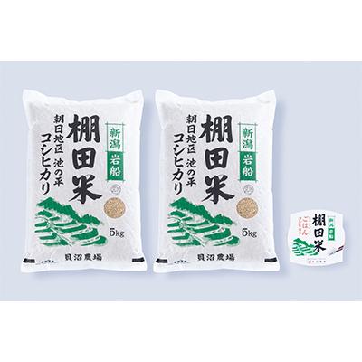 ふるさと納税 村上市 新潟県岩船産コシヒカリ玄米10kg  パックごはん(150g×1個)全8回