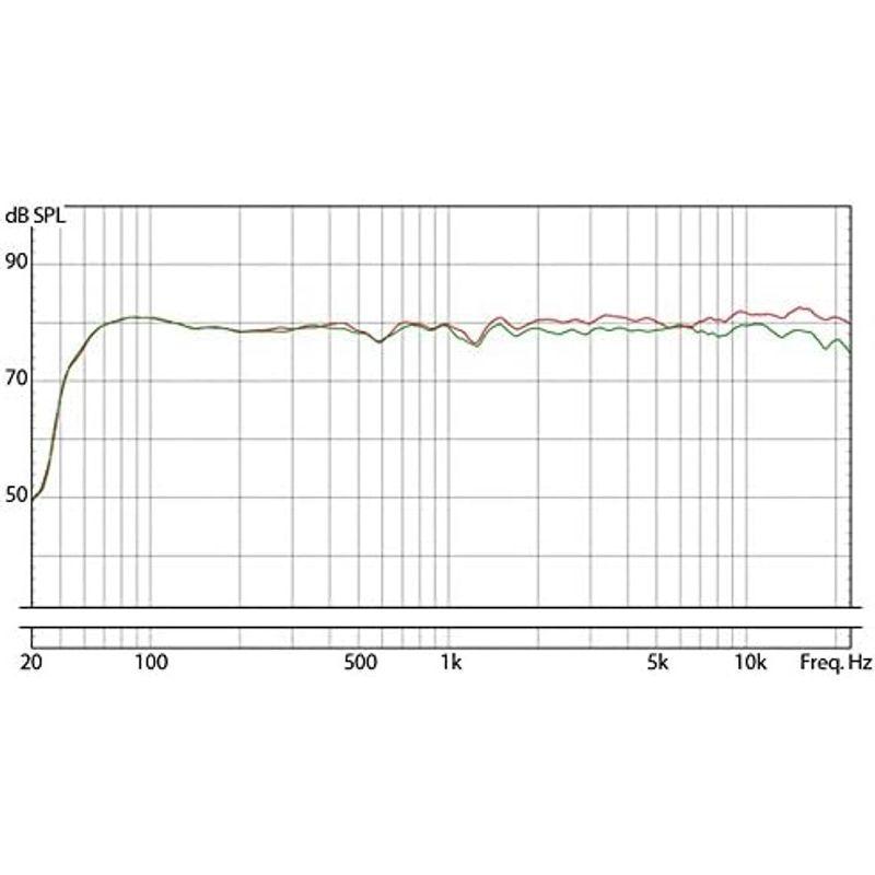 正規輸入品EVE Audio GmbH SC203 2-Way, 3