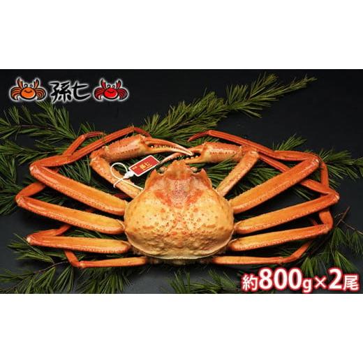 ふるさと納税 富山県 射水市 [No.5683-0449]紅ズワイガニ約800g×2尾（孫七タグ付）