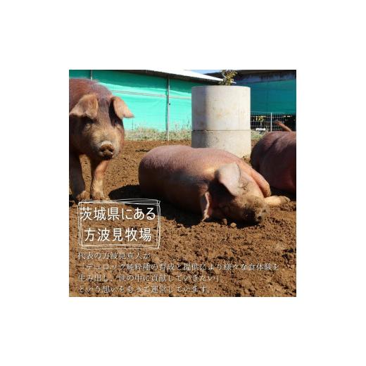 ふるさと納税 茨城県 鉾田市 きざみウデベーコン5個セット 放牧デュロック純粋種「やまの華豚」使用