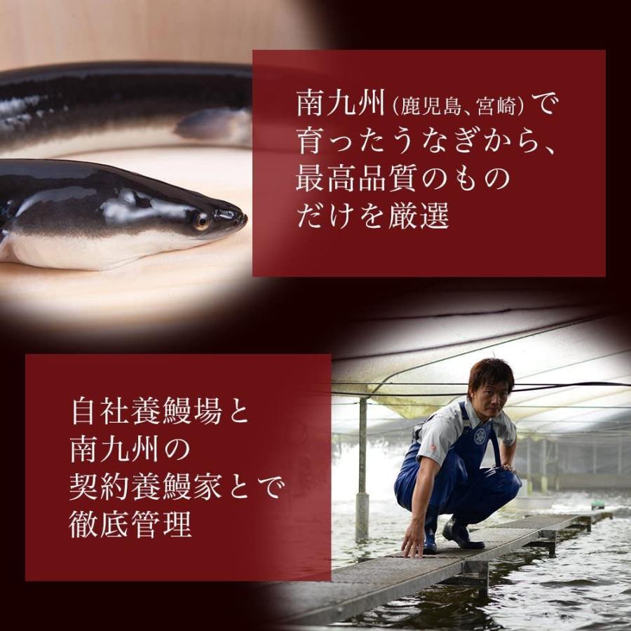 ＜秋ギフト＞ 国産うなぎ蒲焼 切身10枚 500g ＜5〜10人前＞ (たれ・山椒付き)