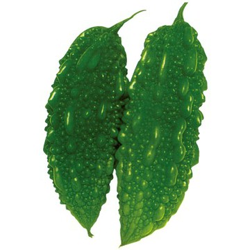 【拈花微笑】翠綠苦瓜｜種子｜10粒｜非基因改造種子｜蔬菜｜蔬果｜有機無毒｜高發芽率