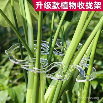 💥在臺24H💥龜背竹支撐桿花支撐架枝幹收攏架植物防倒伏支架綠植固定塑料繩子 5YN1