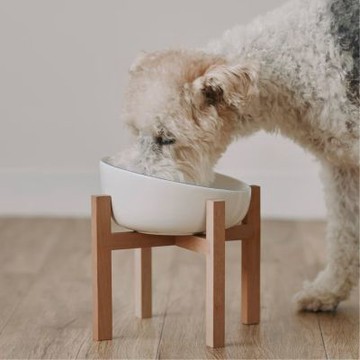 日本 MUJI 無印良品 極簡風格 寵物陶瓷碗、寵物碗木架