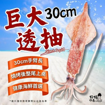【好嬸水產】30CM巨大透抽｜100-500克｜30公分以上｜真空包船凍透抽中秋烤肉食材活凍魷魚花枝下酒菜活凍砲管烤魷魚