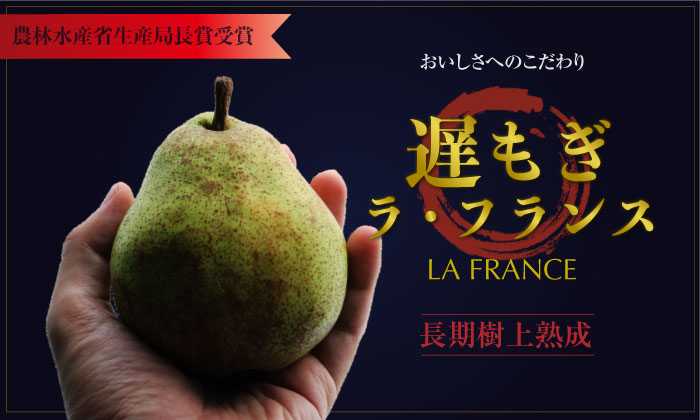 [予約 11月15日～12月25日納品]  遅もぎラ・フランス 約3kg 6-11玉 山形 JAさくらんぼひがしね 洋梨