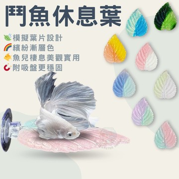 【彼得貓水族】漸變色壓克力鬥魚休息葉 吸盤式 仿真葉片 鬥魚休息平台 魚缸造景 鬥魚葉子 鬥魚葉 休息室 休息葉