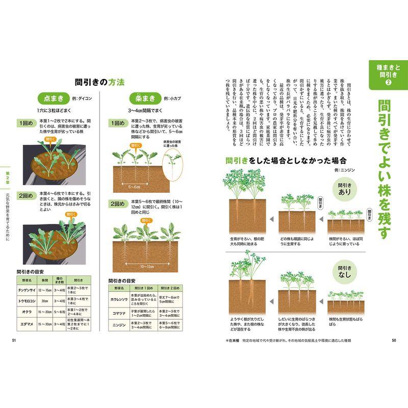 畑と野菜づくりのしくみとコツ