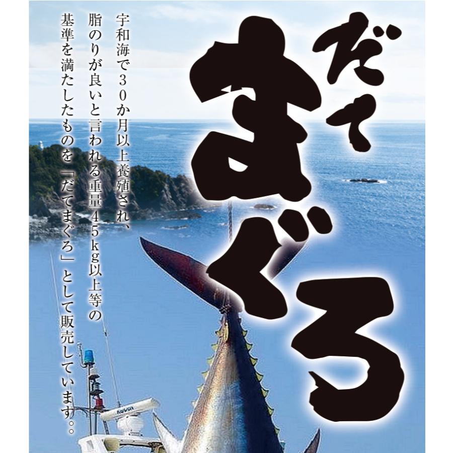 まぐろ マグロ 鮪 国産 本鮪 伊達マグロ 大トロ ブロック 柵 刺身 200g 1〜2人前