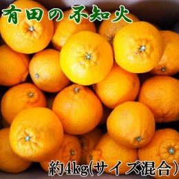 有田産不知火約4kg（M～3Lサイズ混合）