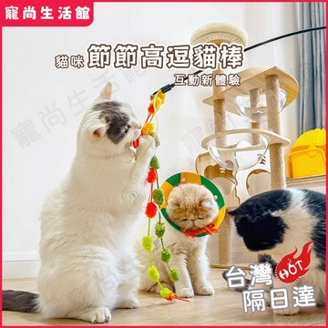 台灣現貨速發🐱逗貓棒 節節高逗貓棒 寵物逗貓棒 逗貓神器 貓咪玩具 寵物玩具 貓玩具 逗貓 毛球逗貓棒 逗貓桿