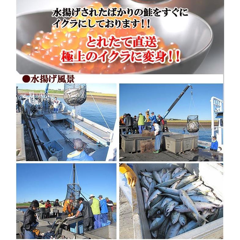 いくら醤油漬け 200g×5パック 北海道産 イクラ 1kg  送料無料 お取り寄せグルメ