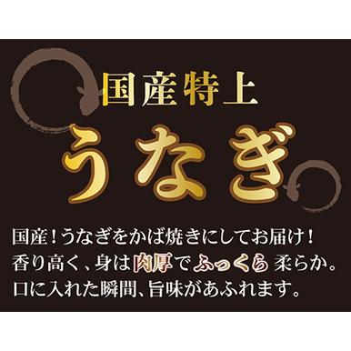 ふるさと納税 国産！特上うなぎのかば焼き 約200g × 2尾 福井県越前市