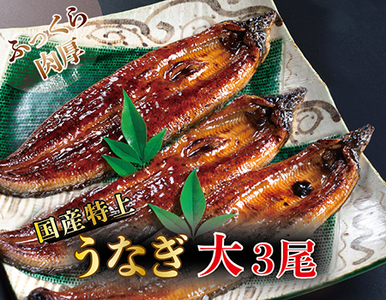 国産！特上うなぎのかば焼き 約200g × 3尾