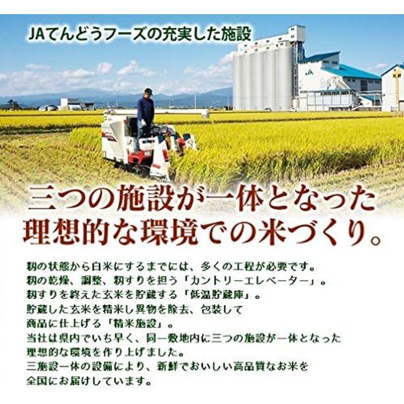 精米 山形県産 つや姫 精米 10kg（5kg×2袋）平成30年産