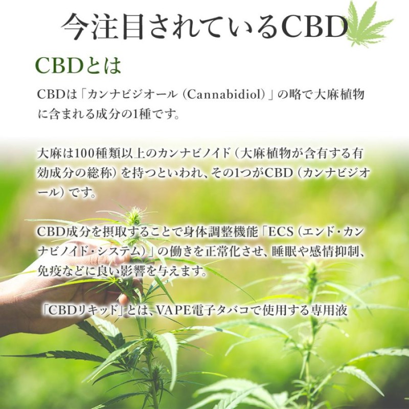 HEM CBD VAPE リキッド 高濃度 10% 1000mg 国産 ヘンプ アイソ