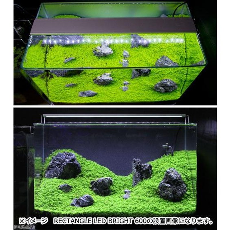 アクロ　TRIANGLE LED GROW 600 BRIGHT600セット