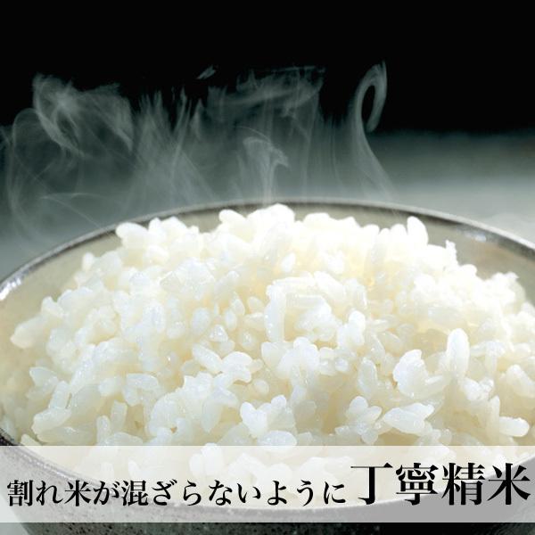 無洗米 真空 3kg 一等米 九州産   化粧箱入