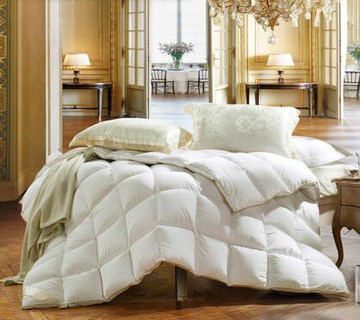 {保暖鵝絨}貴妃鵝絨被芯 輕盈加厚秋冬被超柔七天預購+現貨